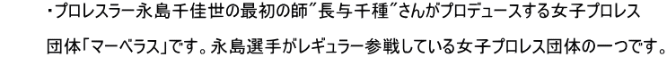 マーベラスの説明